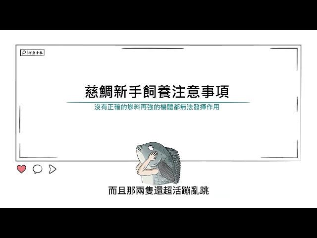 [水族大大不要聽]新手慈鯛飼養注意事項