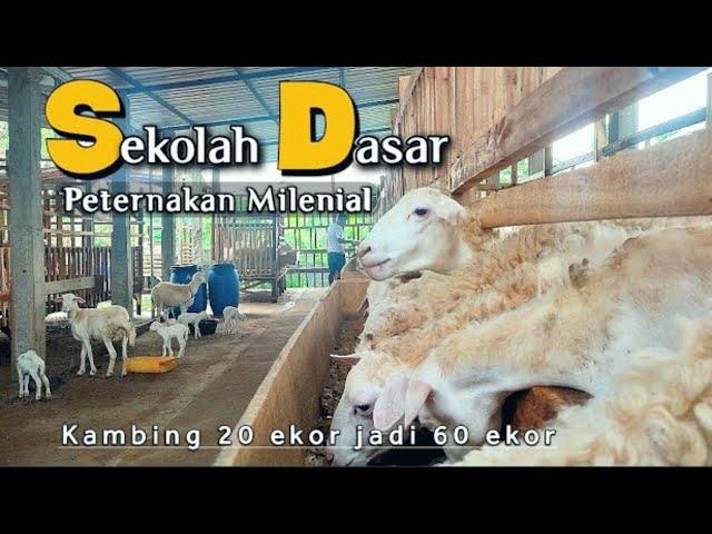 Millennial breeders, Fast goat breeding 20 to 60 heads, Definitely 50% return on investment