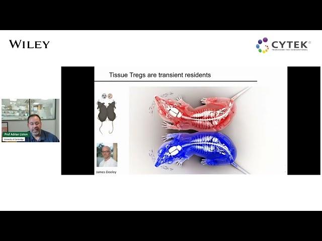 Regulatory T cells in the tissues