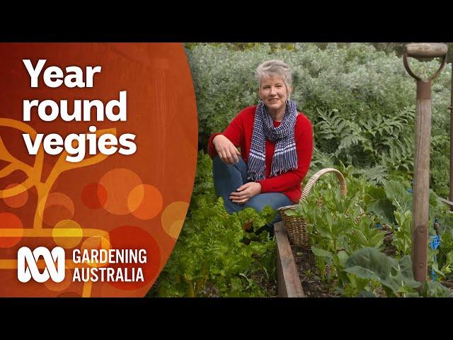 Vegetable crops that can be planted & harvested all year-round | Gardening 101 | Gardening Australia