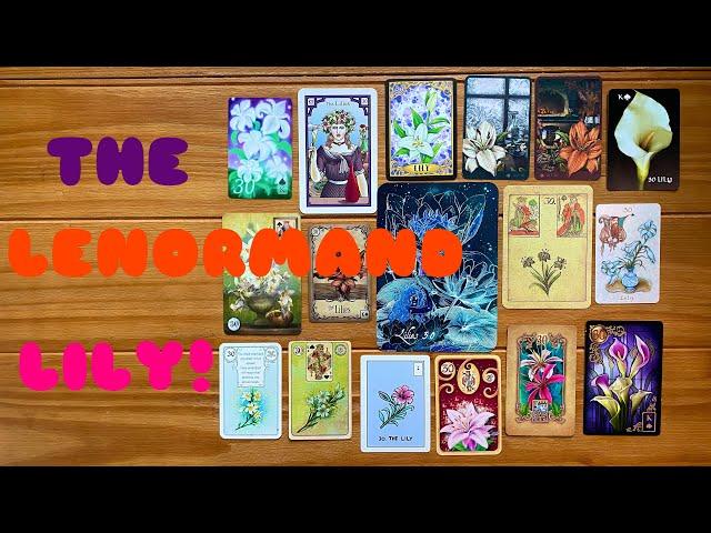 Everything you need to know about the Petit Lenormand Lily card!