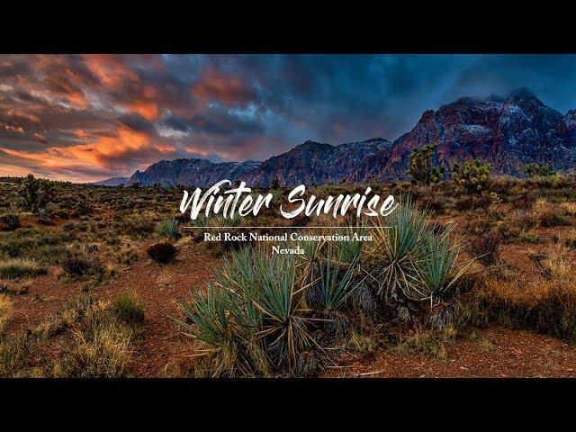 Winter Sunrise At Red Rock National Conservation Area in Nevada | Jarrod Ames Photography