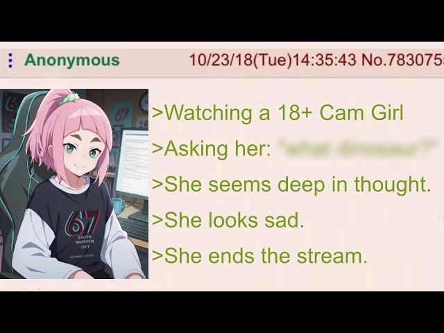 Anon's Interaction with a Cam Girl | 4Chan Greentext Stories