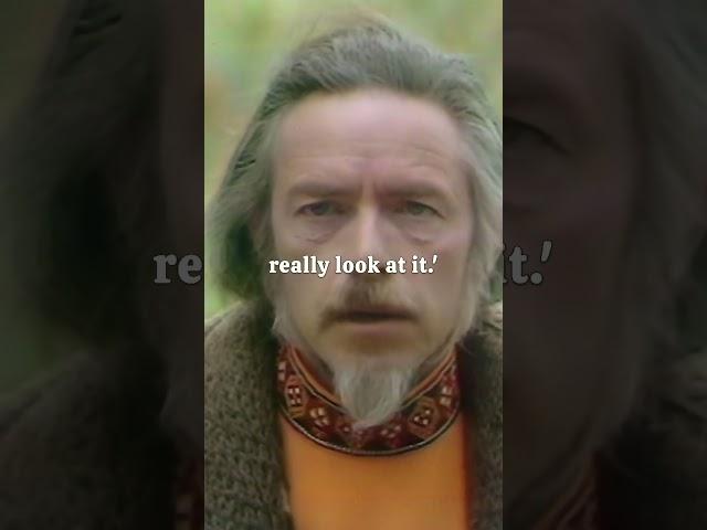 Alan Watts - Concept of Ourself