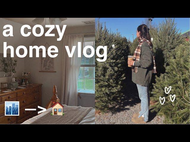 a cozy week (ish) at home | thanksgiving, thrifting, family time