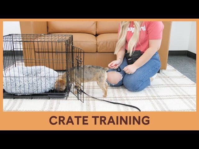 Crate Training [Video 12/14]