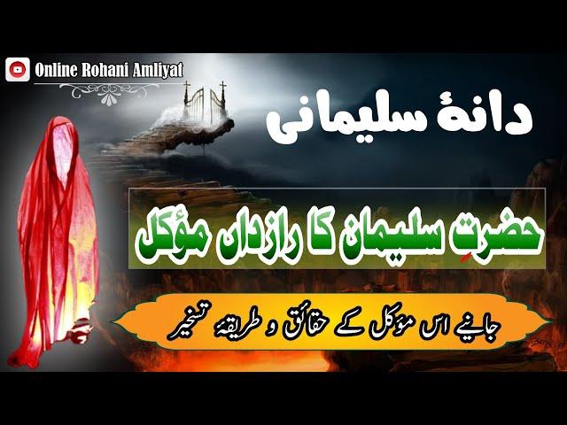 Taskheer e Muwakkil Safrailo | Dana e Sulemani | Wazifa | Amal | Rohani Amliyat | Amliyat Ki Duniya