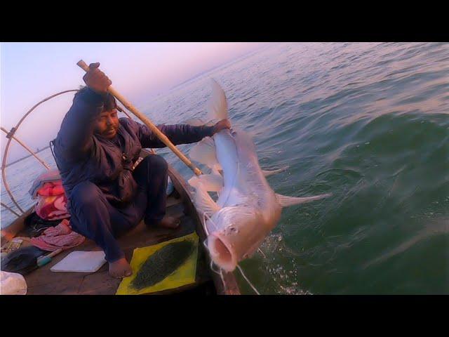 Big (राकेट) Digal Fish/Indra Sagar Boat Fishing Video #mkfishing