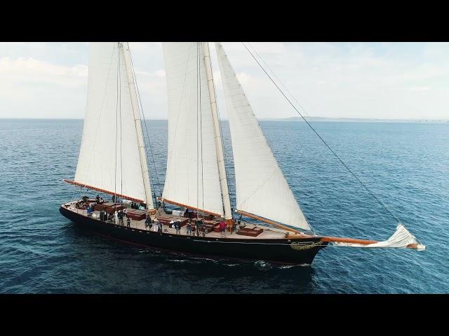 Whale Watching Aboard Yacht America!