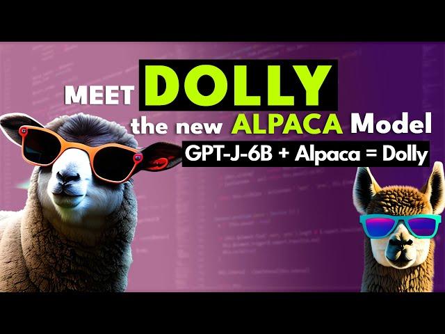 Meet Dolly the new Alpaca model