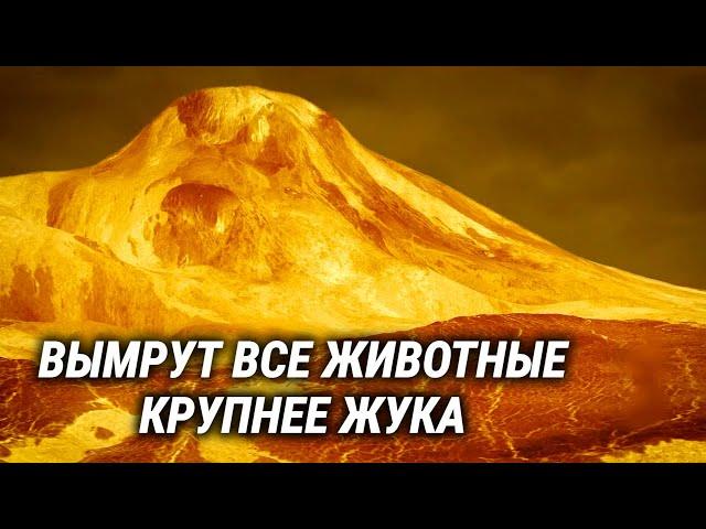 Как изменится природа на Земле из-за глобального потепления