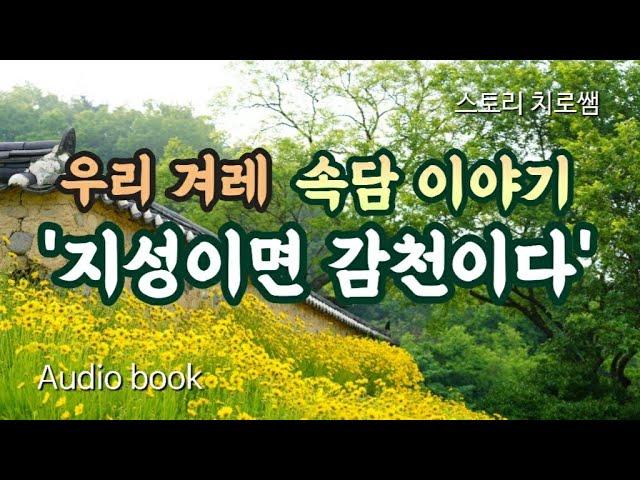 우리 겨레 속담 이야기 | 지성이면 감천이다 | 설화 | 민담 | 지혜와 깨달음의 고전 이야기 | 구연동화 | 전래동화 | 오디오북 | 책 읽어주는 여자 asmr