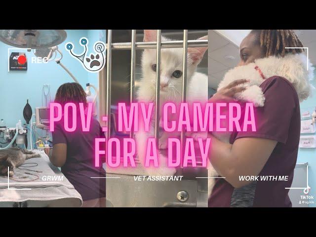 POV : My camera for a day as a Veterinary Assistant