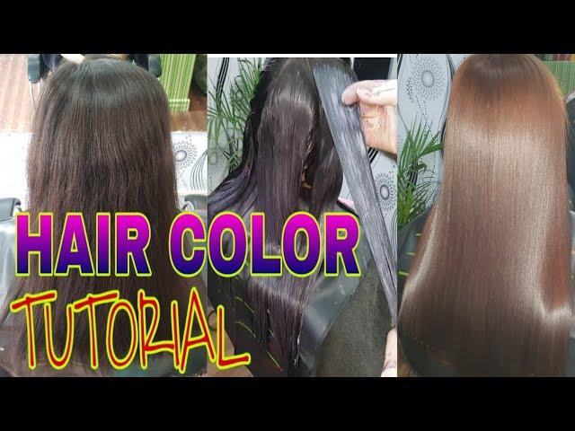 HAIR COLOR TUTORIAL FOR BEGGINERS