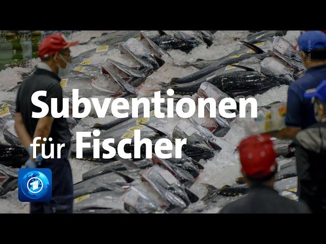 Verhandlungen über weniger Subventionen für Fischer