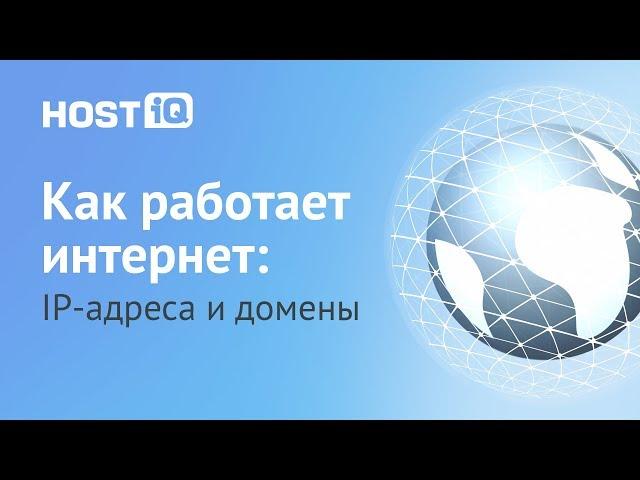 Что такое домен и IP адрес сайта