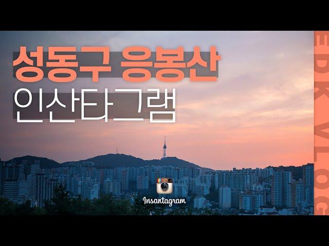 [EDK브이로그] 응봉산 올라가보기