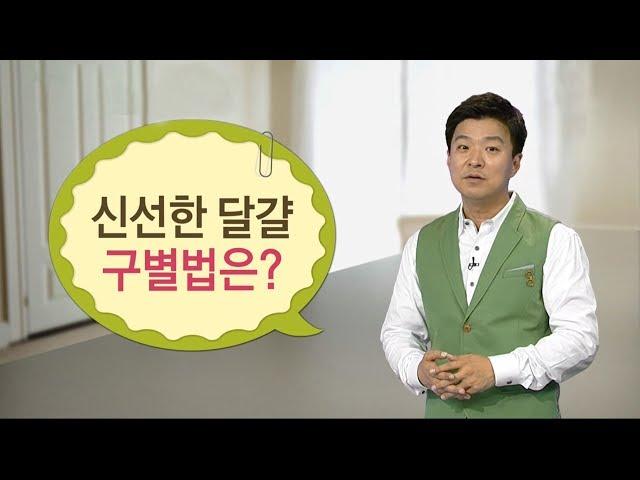 여름철 상하기 쉬운 달걀, 신선도 구별법 / YTN 김생민 '원 포인트 생활상식'