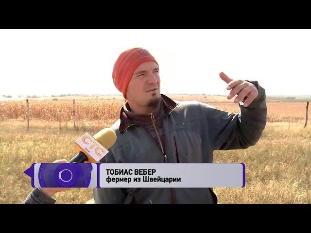 Швейцарская ферма в Унгенах