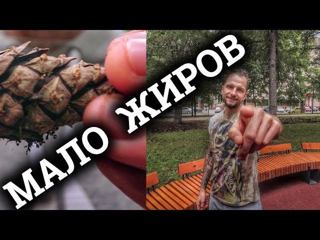 НЕЗАМЕНИМЫЕ ЖИРНЫЕ КИСЛОТЫ | ДЕФИЦИТ | БОЛЕЗНИ