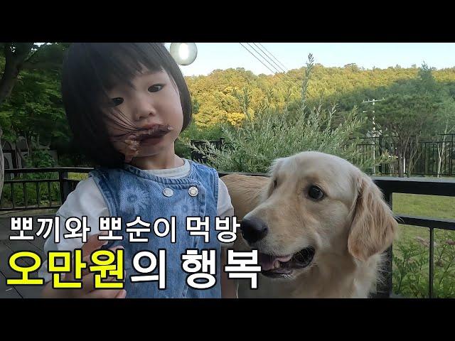 오만원으로 육회랑 소고기 그리고 야채 먹방하는 리트리버와 말티즈