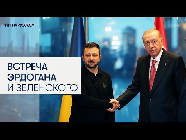 Эрдоган и Зеленский обсудили мирные инициативы