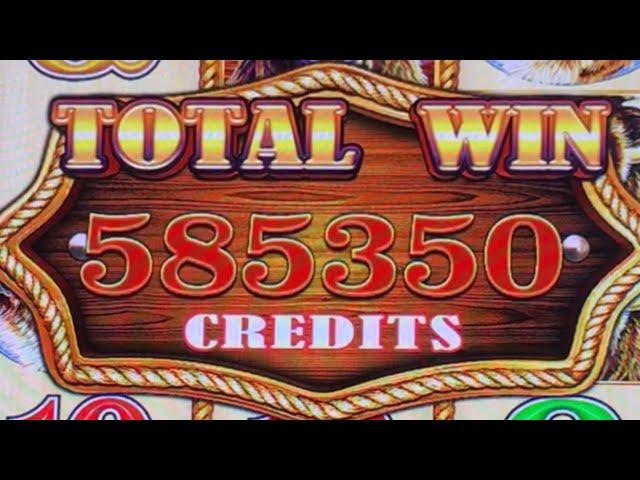 Slotman’s BIGGEST Handpay To Date #slots #casino #slotman #buffalogold