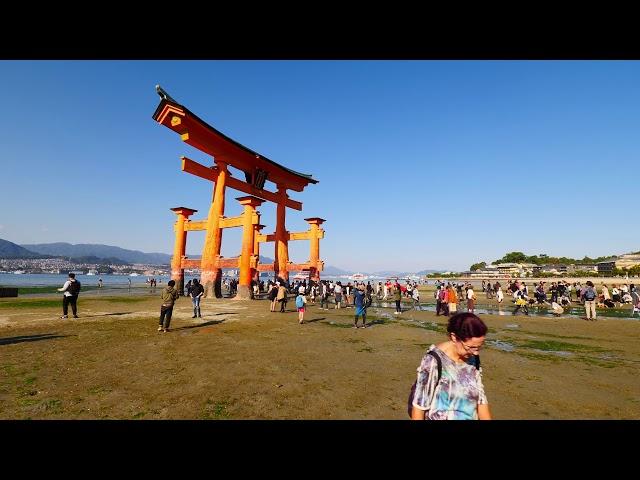 4K・ 【4K】Walking on Miyajima (Itsukushima)