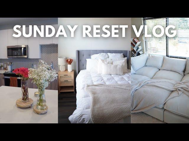 SUNDAY RESET ROUTINE | cleaning, groceries, trader joe's haul 