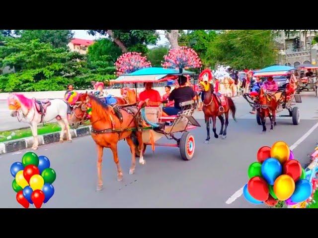 Kuda | Kuda Delman Berbondong Bondong Pindah Lokasi Mahrib, 2 kuda tunggang di tarik pakai motor