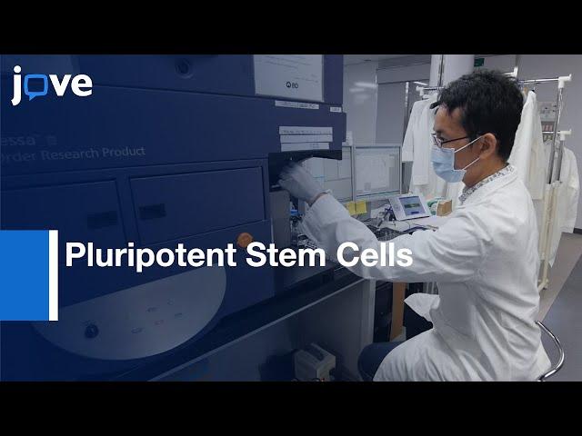 Hemogenic Endothelium Differentiation from Pluripotent Stem Cells | Protocol Preview