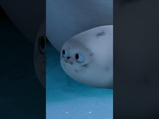 How I Met My Polar Bear #shorts