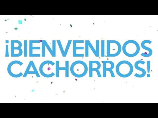 La Coyuntura USACH - Bienvenido Cachorro 2017