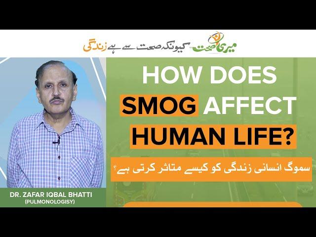 How Does Smog Affect Human Life - Potential Health Effects and Prevention of Smog.