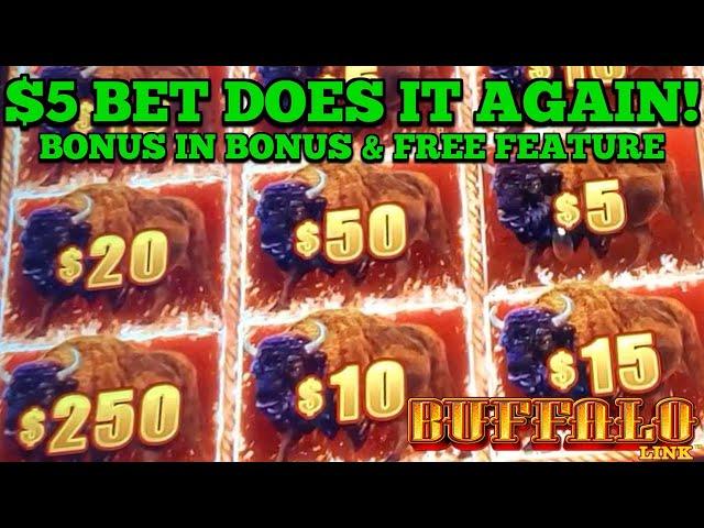 SUPER BIG WIN on BUFFALO LINK SLOT on MY FAVORITE $5 BET! #casino #slots #lasvegas #gambling