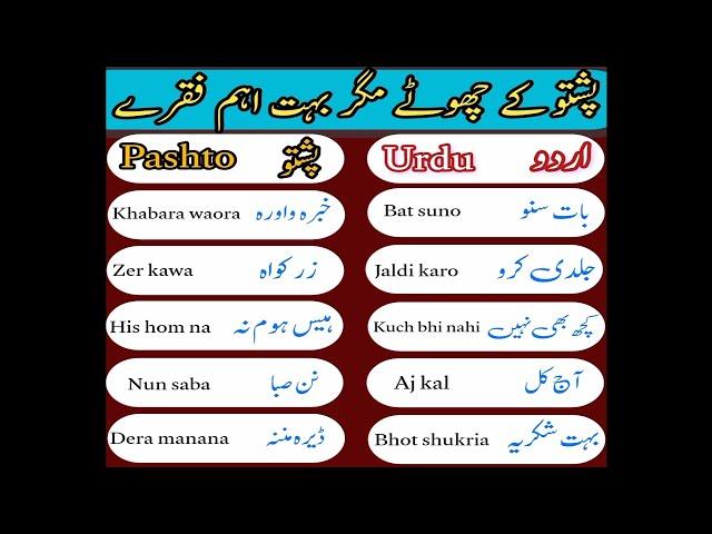 Pashto basic phrases for beginners | daily routine sentences in pashto | learn basic pashto in urdu