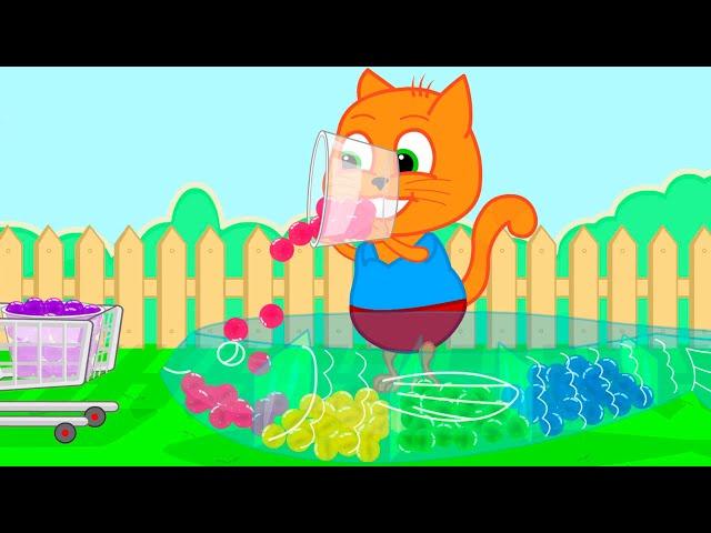 Cats Family in English - Filling the pool with orbeez Cats Cartoon for Kids