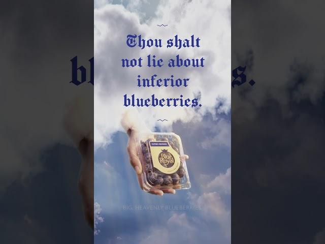 BerryCo 'Thou shalt not lie about inferior bluberries' social film via WAVE