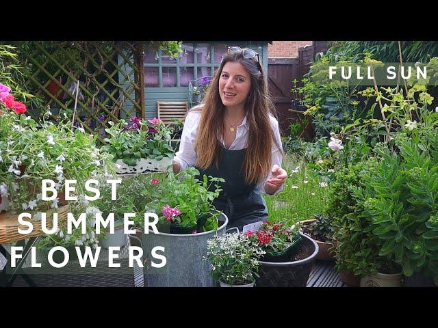 3 container planting recipes for Summer️ | Best plants mix for months of flowers | FULL SUN