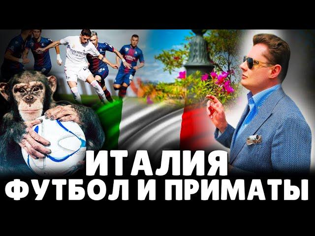 Италия, футбол и приматы | Евгений Понасенков