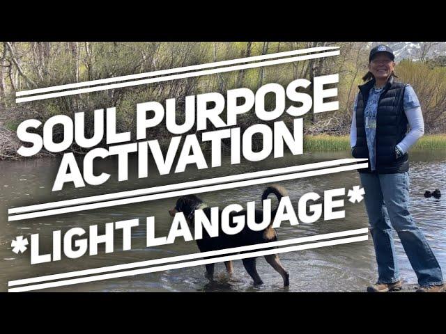 Light Language -Soul Purpose Activation *READ DESCRIPTION PLEASE*