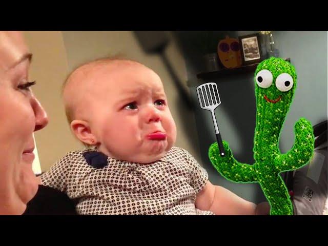 Try Not To Laugh Baby Reacting Everything - Funny Baby Videos | BABY BROS