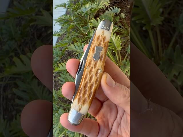 Blade Forums 2024 Traditional Pocket Knife #youtubeshorts #edc #knife