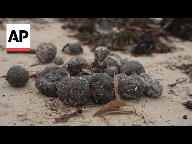 Sydney closes 2 beaches after hundreds of black spheres wash ashore