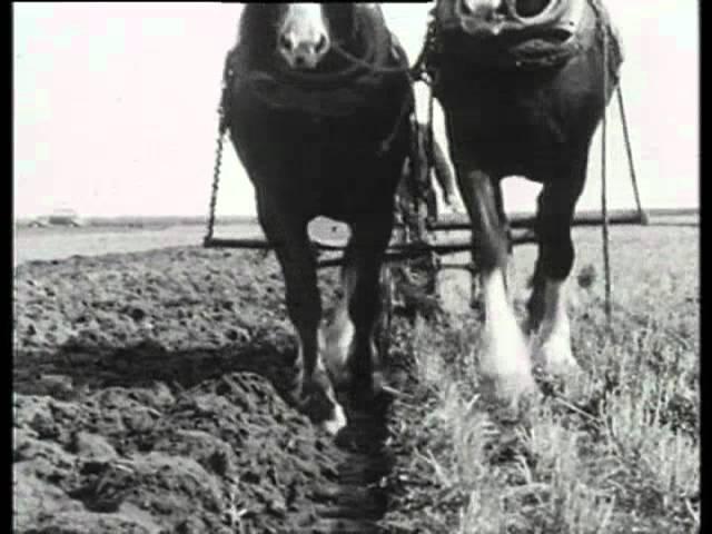 Working the Land: The Bygone Age of Farming DVD (Timereel)