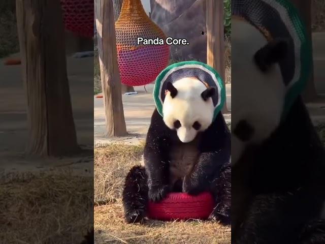 Panda core #foryou #panda #shorts #core