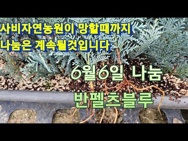 반펠츠블루 나눔 선정했어요