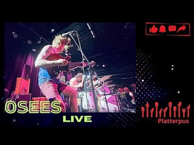 Osees - The Dream / The Daily Heavy (Live in Adelaide March 2025)