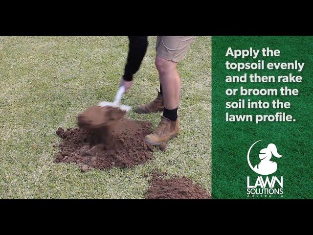 How to top dress your lawn