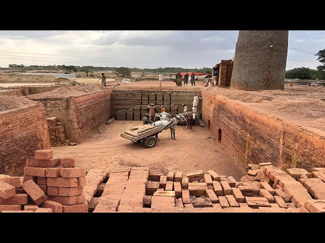 Comprehensive Red Bricks Production Process | How Red Bricks are Made in Traditional Coal Kiln